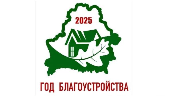 Год благоустройтсва